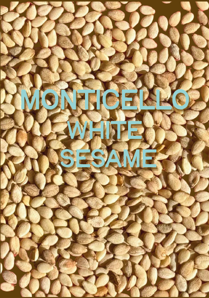 Sesame Seeds, Monticello White