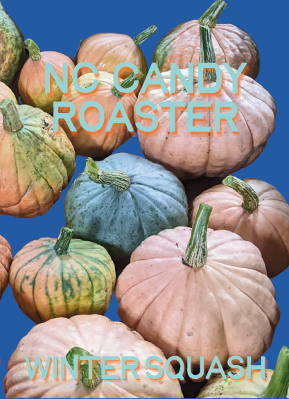 Winter Squash Seeds, NC Candy Roaster
