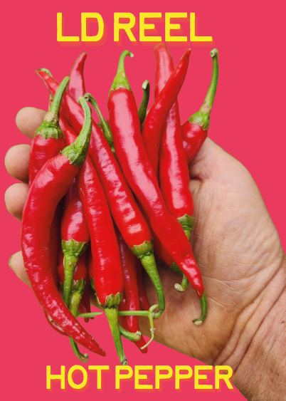 Pepper Seeds, LD Reel Hot Pepper