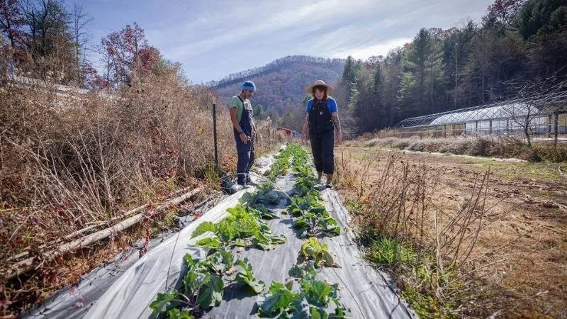 Chris and Leeza - Collards and PBS