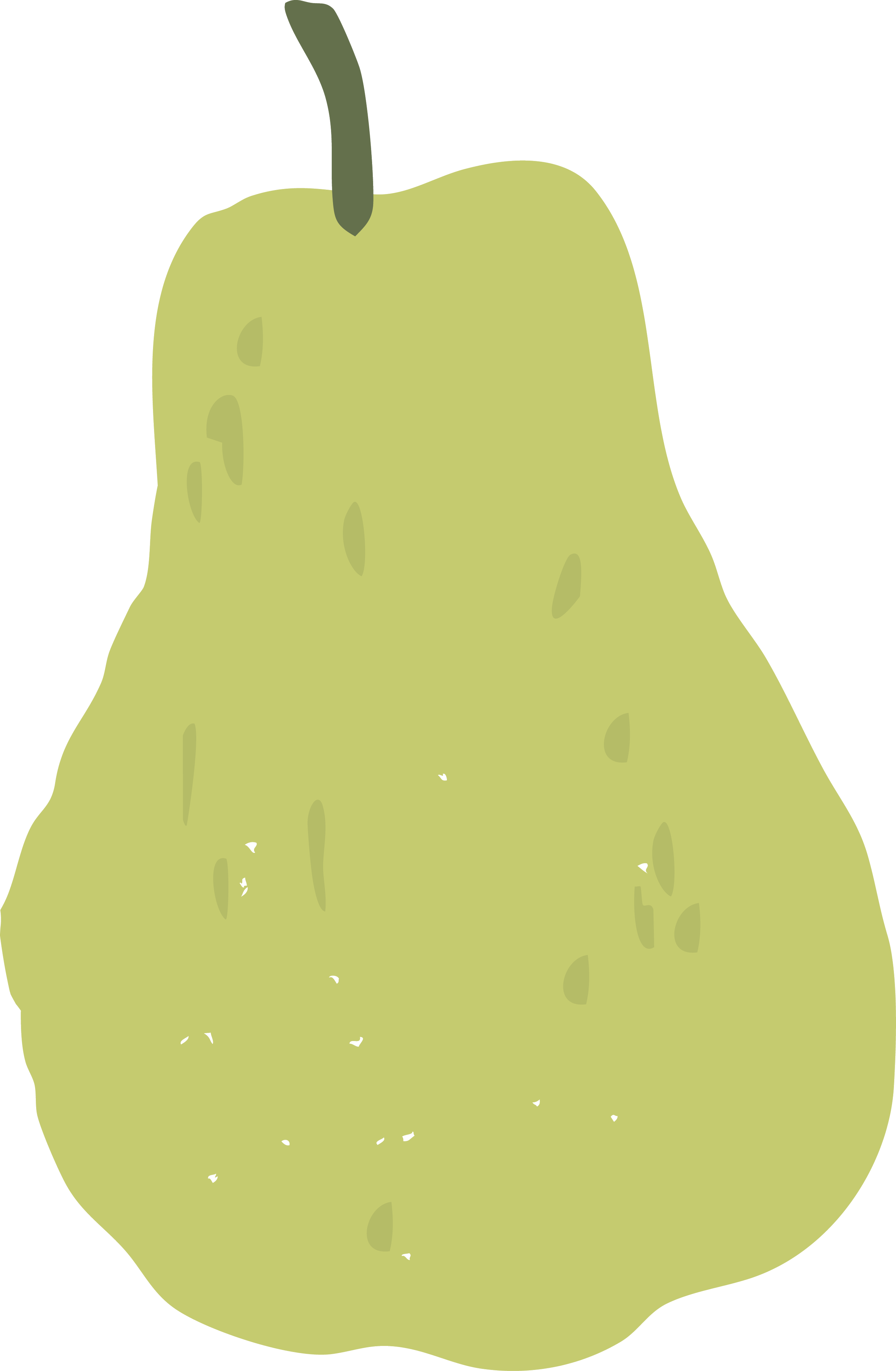 Chayote