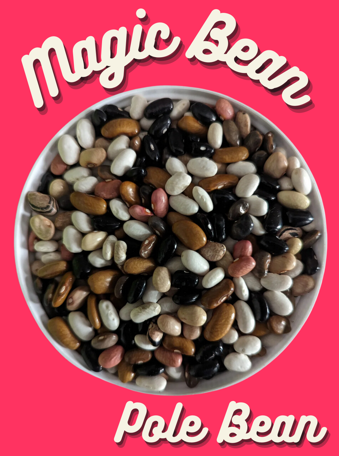 Bean Seeds, Magic