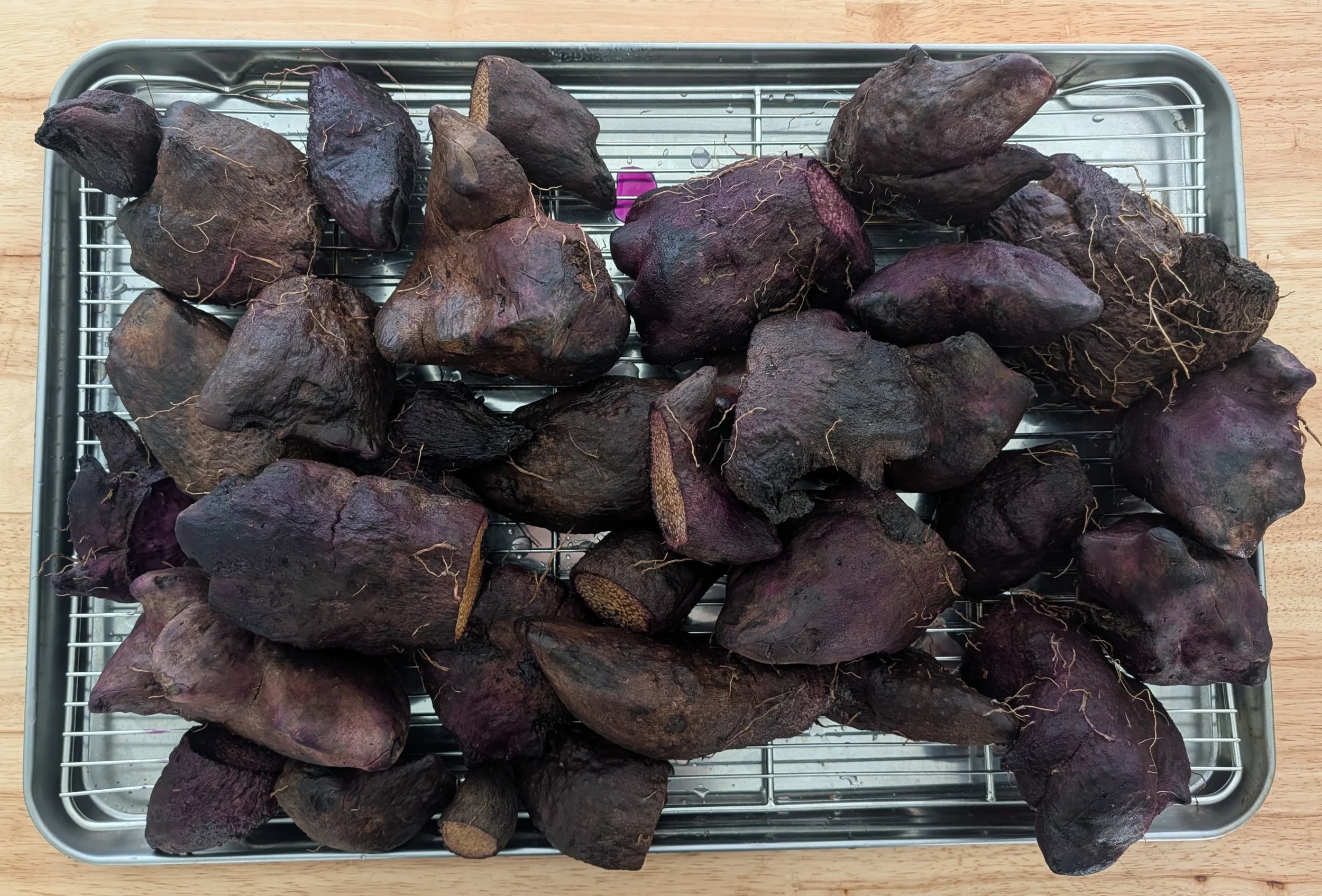 Ube harvest in Western North Carolina