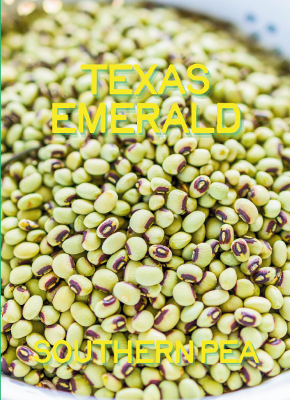 Southern Pea Seeds, Texas Emerald