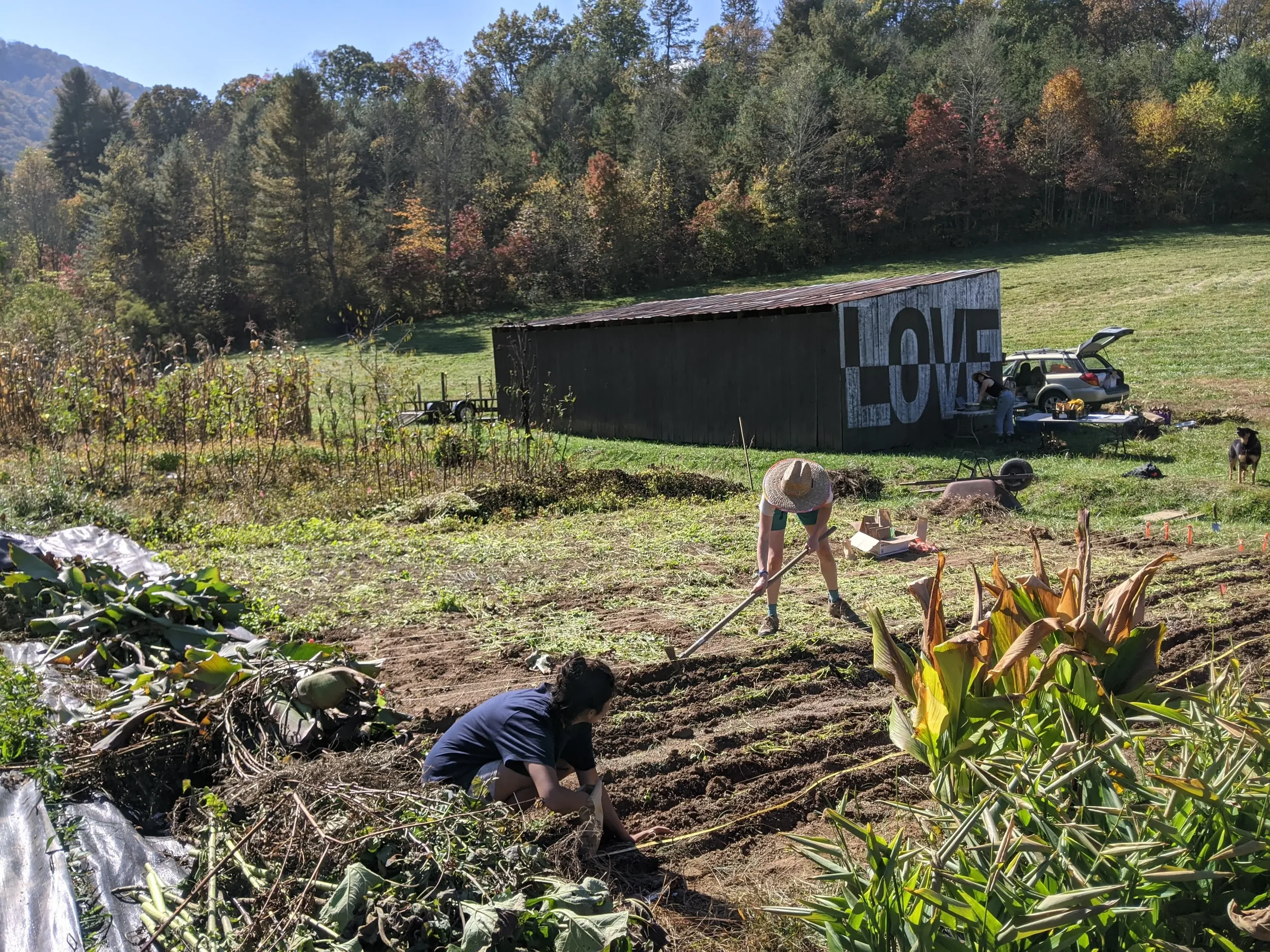 Breaking New Ground with the Utopian Seed Project