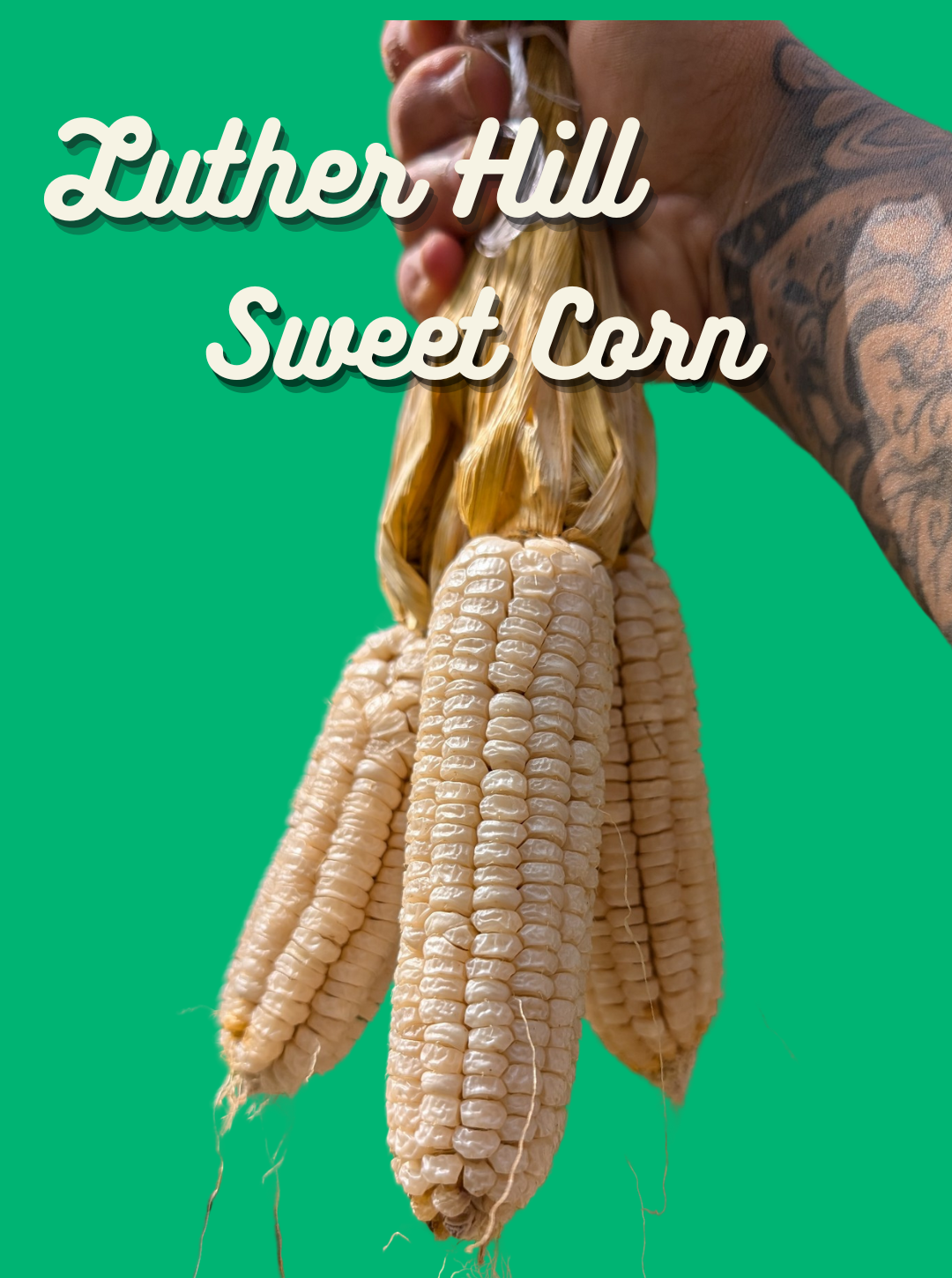 Corn Seeds, Luther Hill