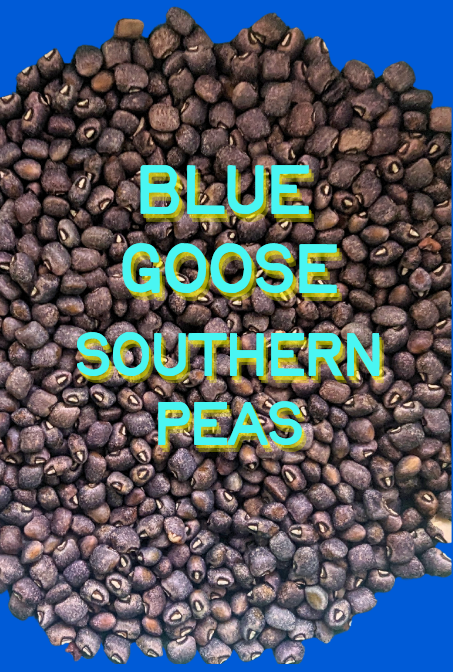 Southern Pea Seeds, Blue Goose