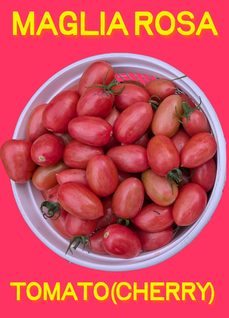 Tomato Seeds, Maglia Rosa Cherry