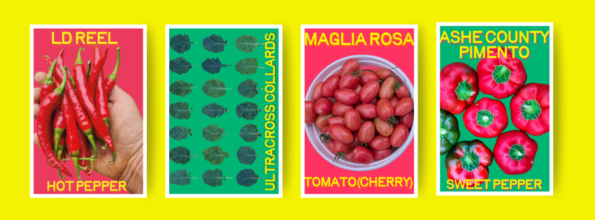 Appalachian Grower Seed Collective Packets!