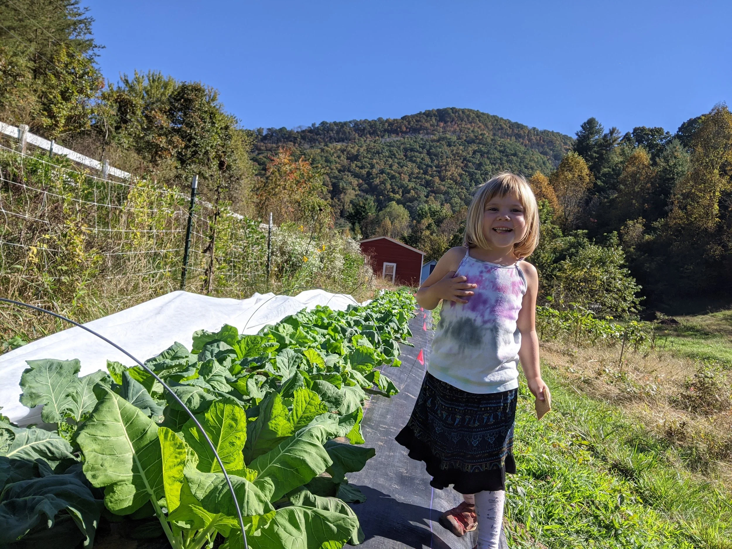 PXL_20201014_194027011 (1).jpg