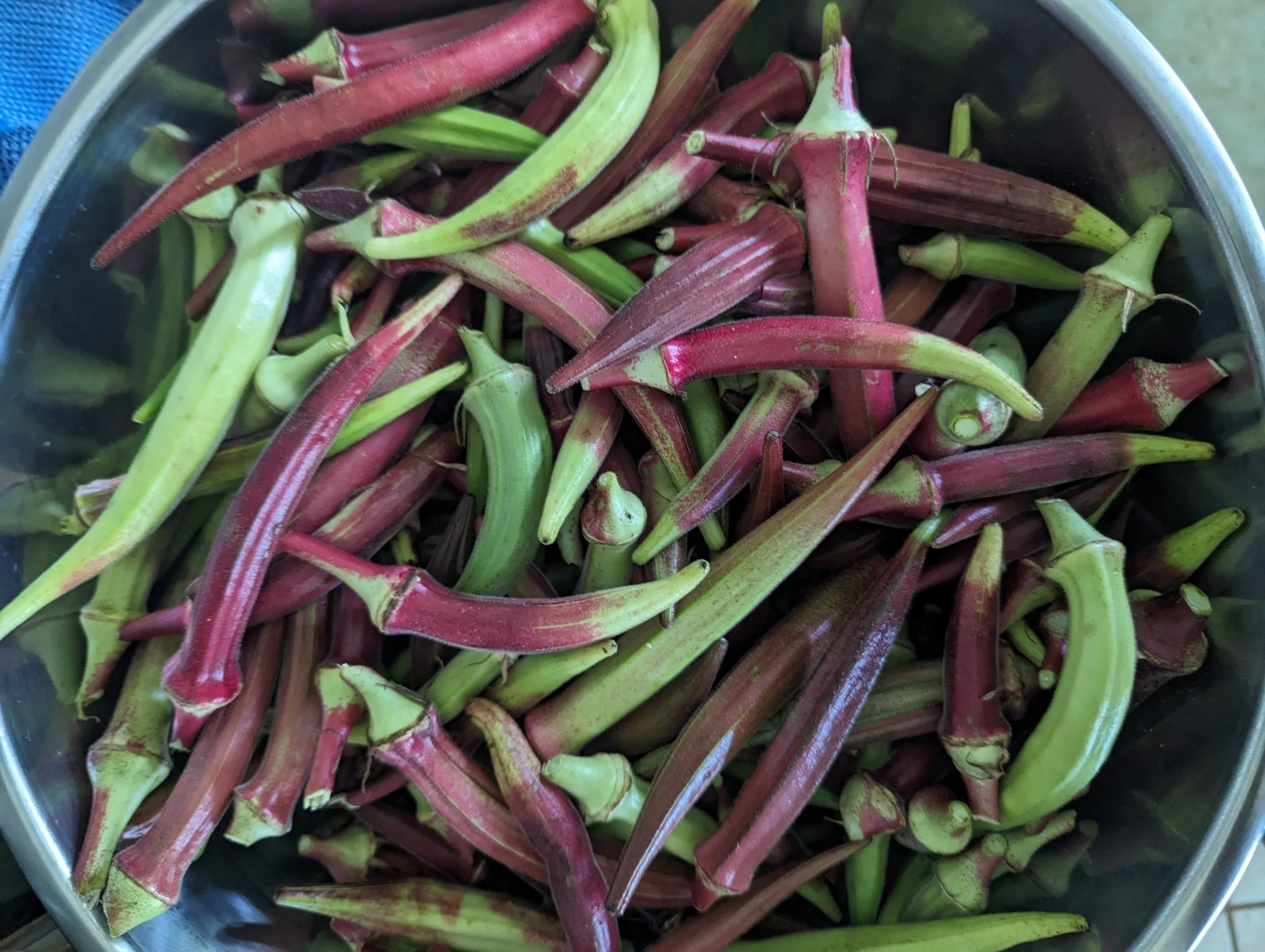 Diverse Okra Mix for Regional Adaptation