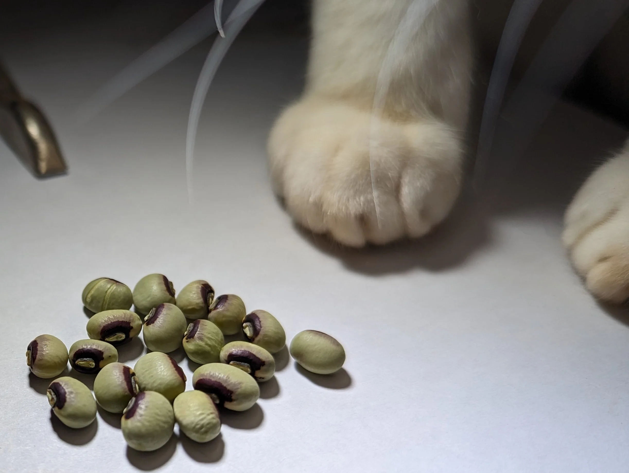 PXL_20240531_191357186 (1).jpg