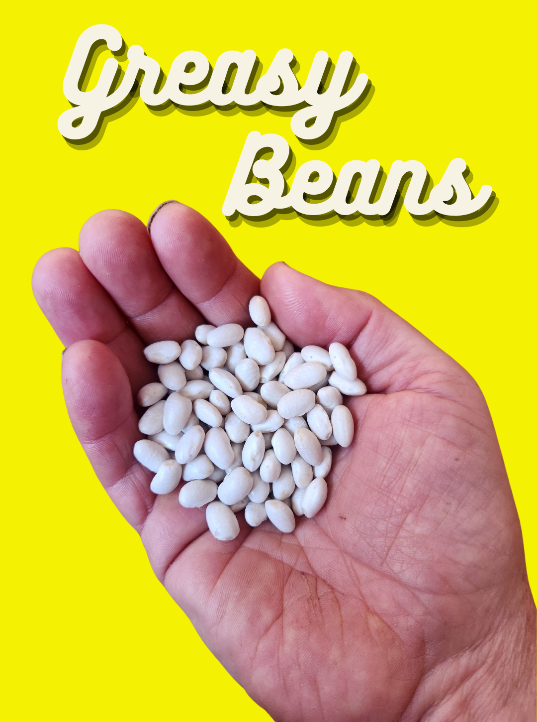 Bean Seeds, Greasy