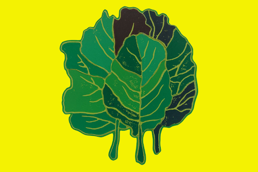 Collard Story Corps Collard Image