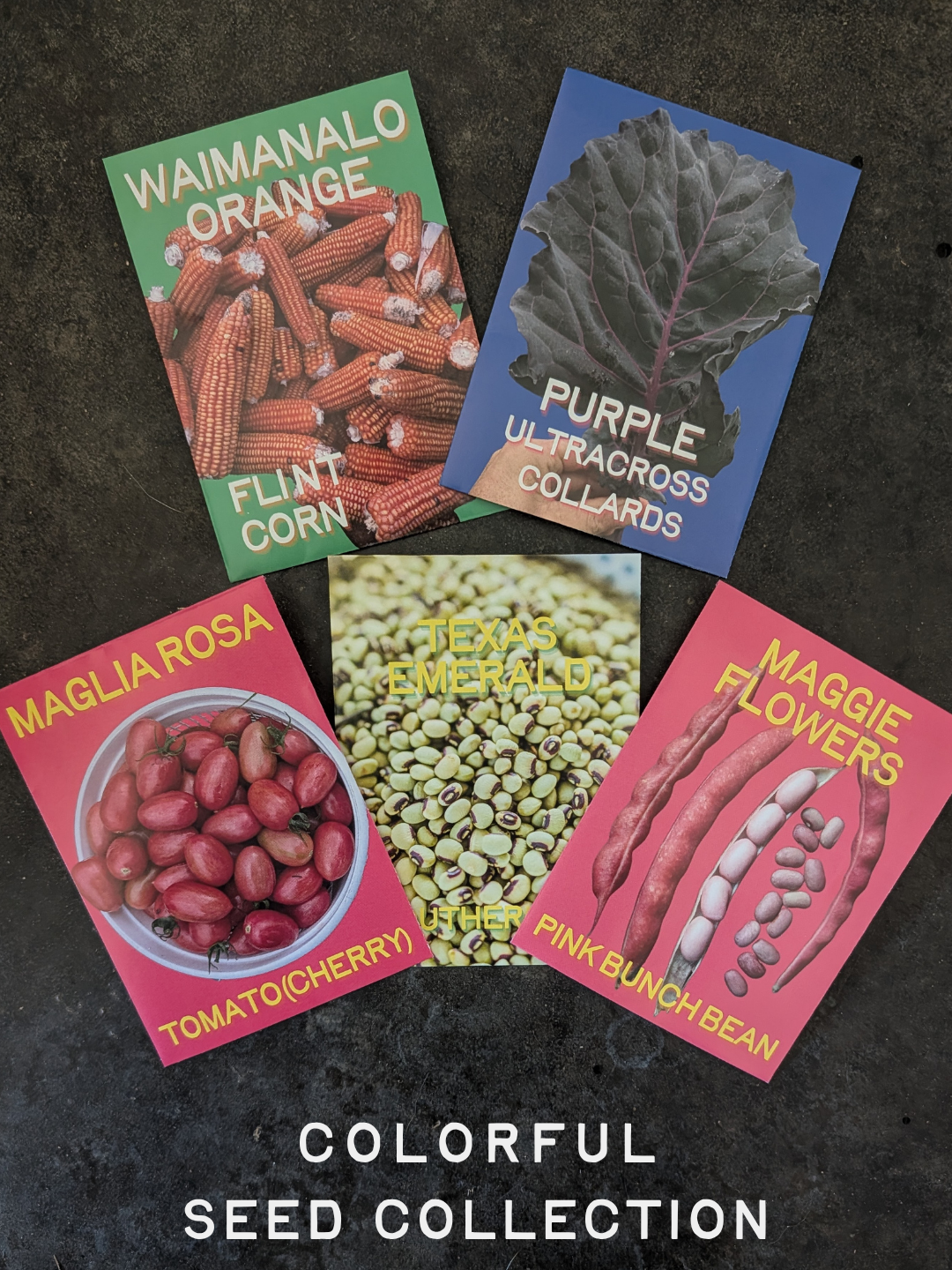 Colorful Seed Collection.png