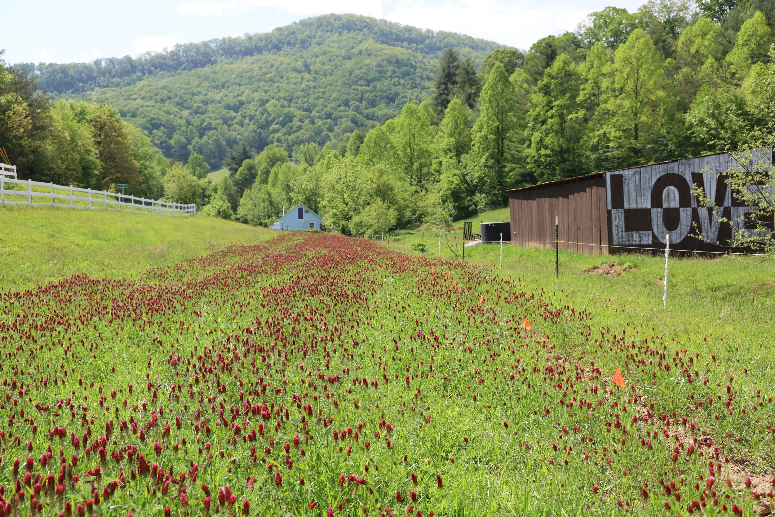 Frannys Farm - Seed Collective