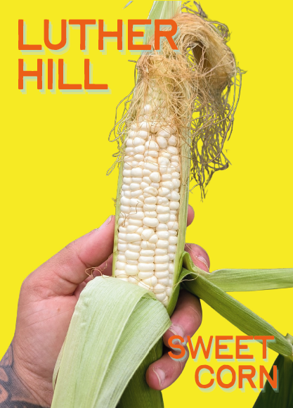 Corn Seeds, Luther Hill