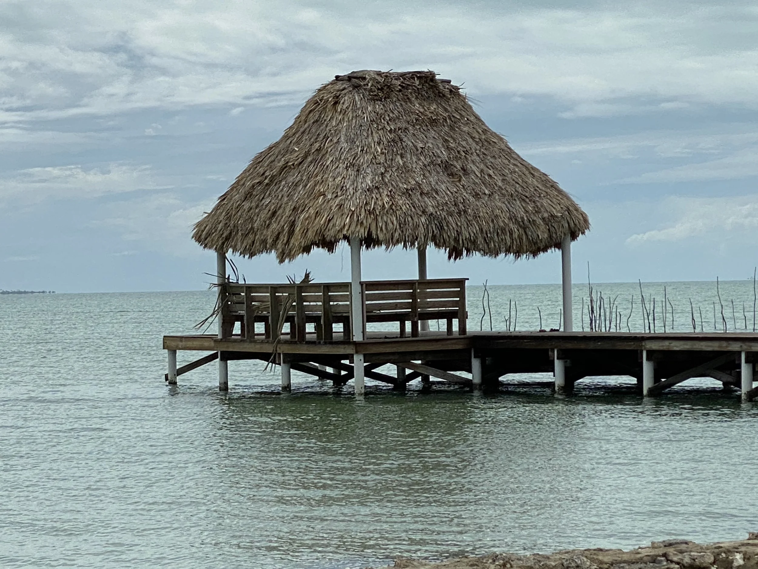IMG_4382.jpeg