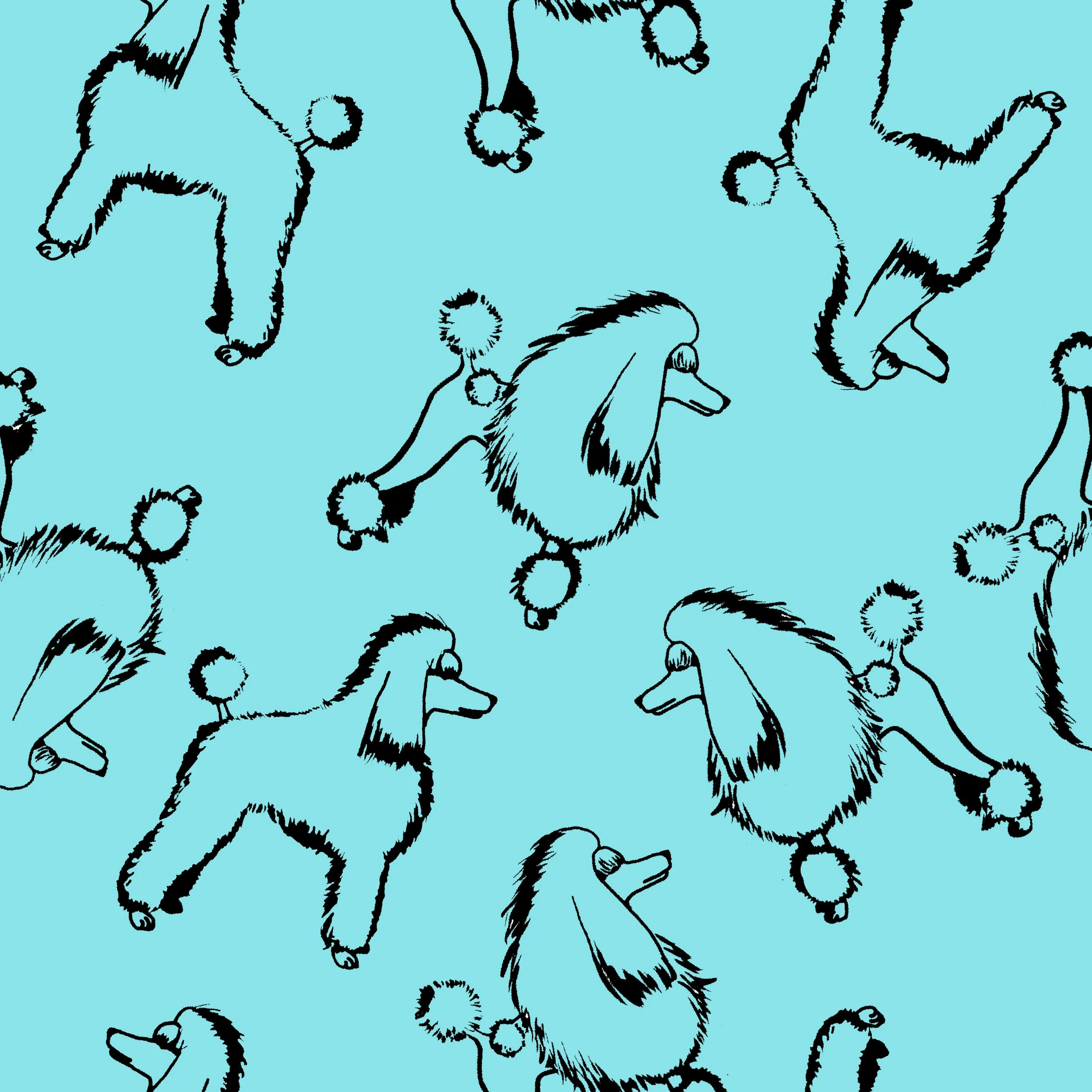 POODLErepeatSUN.jpg