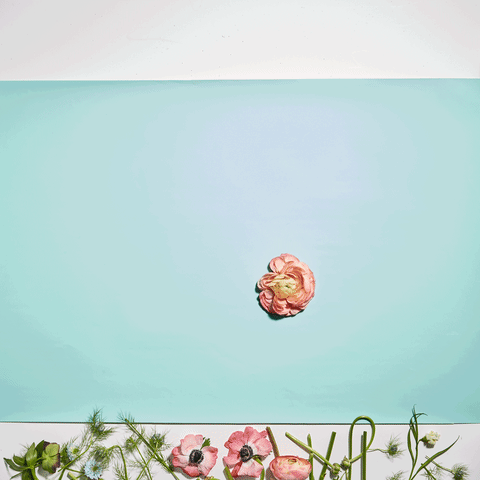 Animated GIF-downsized_large.gif