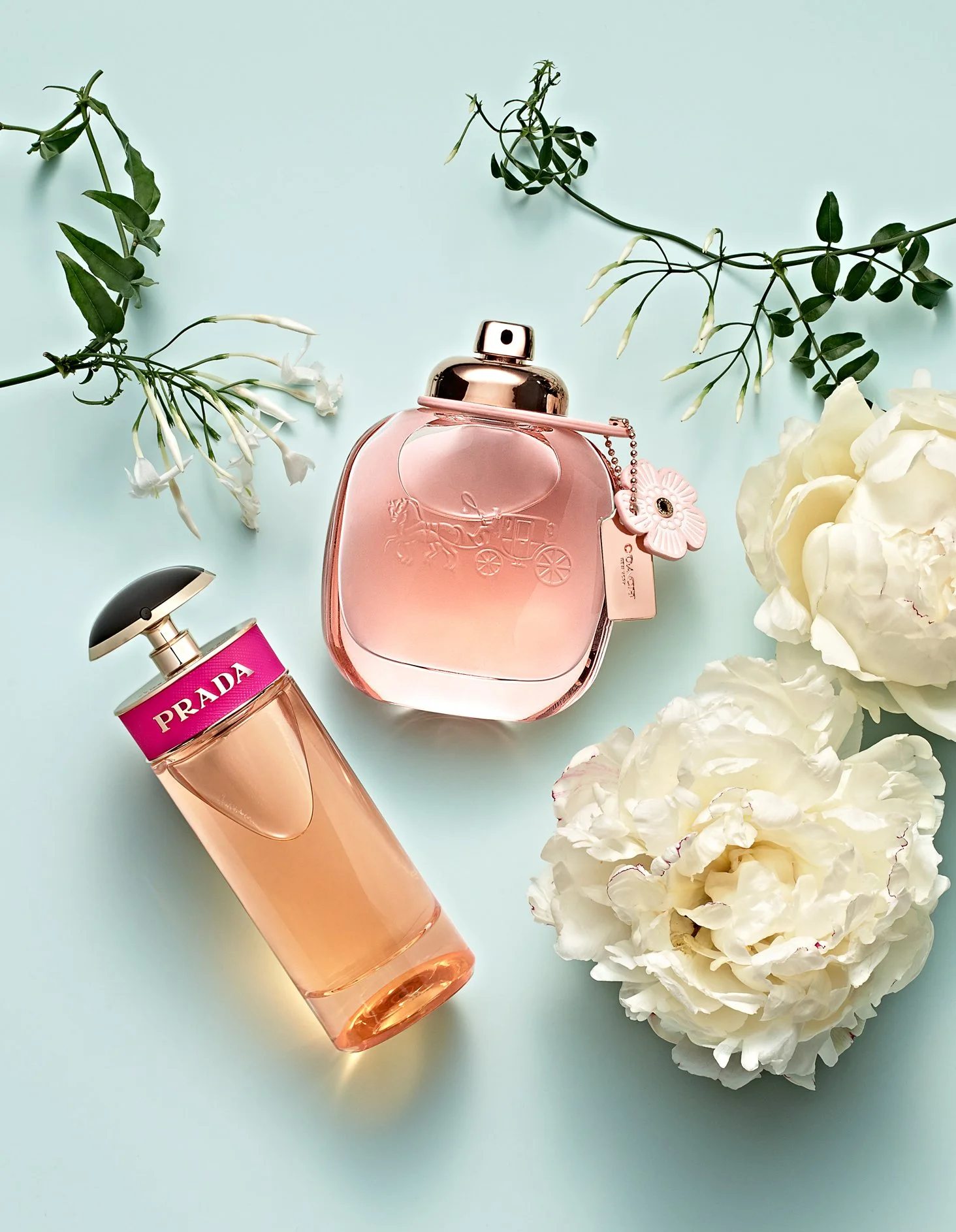 FLORAL3_334196CFD1.L8010289-001 copy.jpg