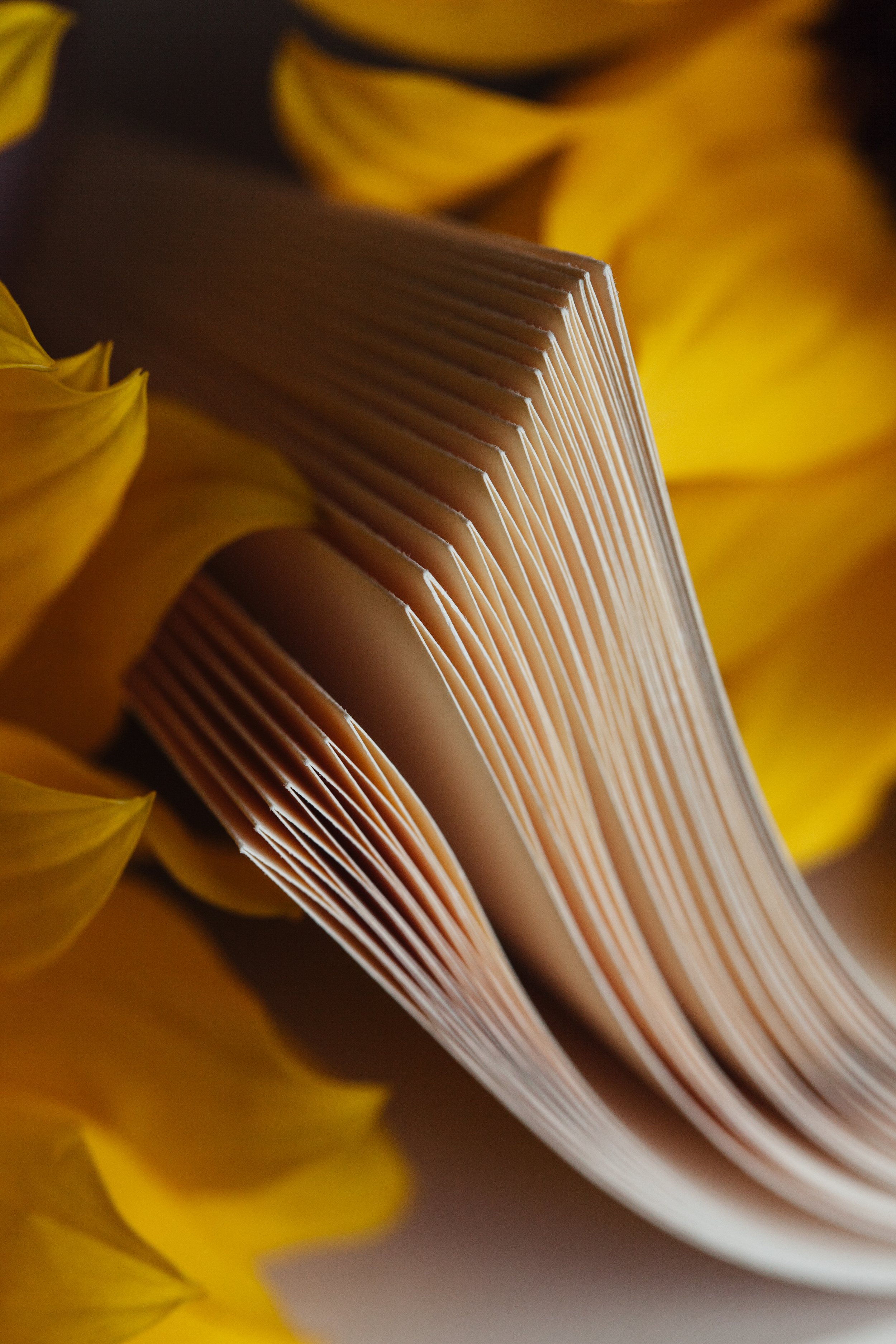 poetry book sunflowers writer typewriter creative handmade
