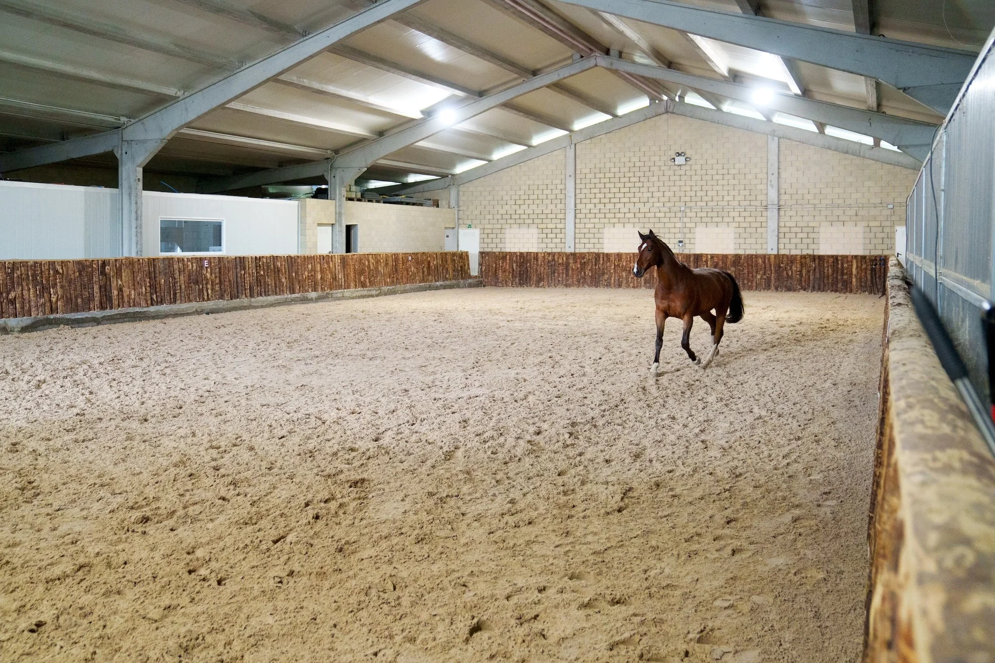 This is where we talk about arena rental