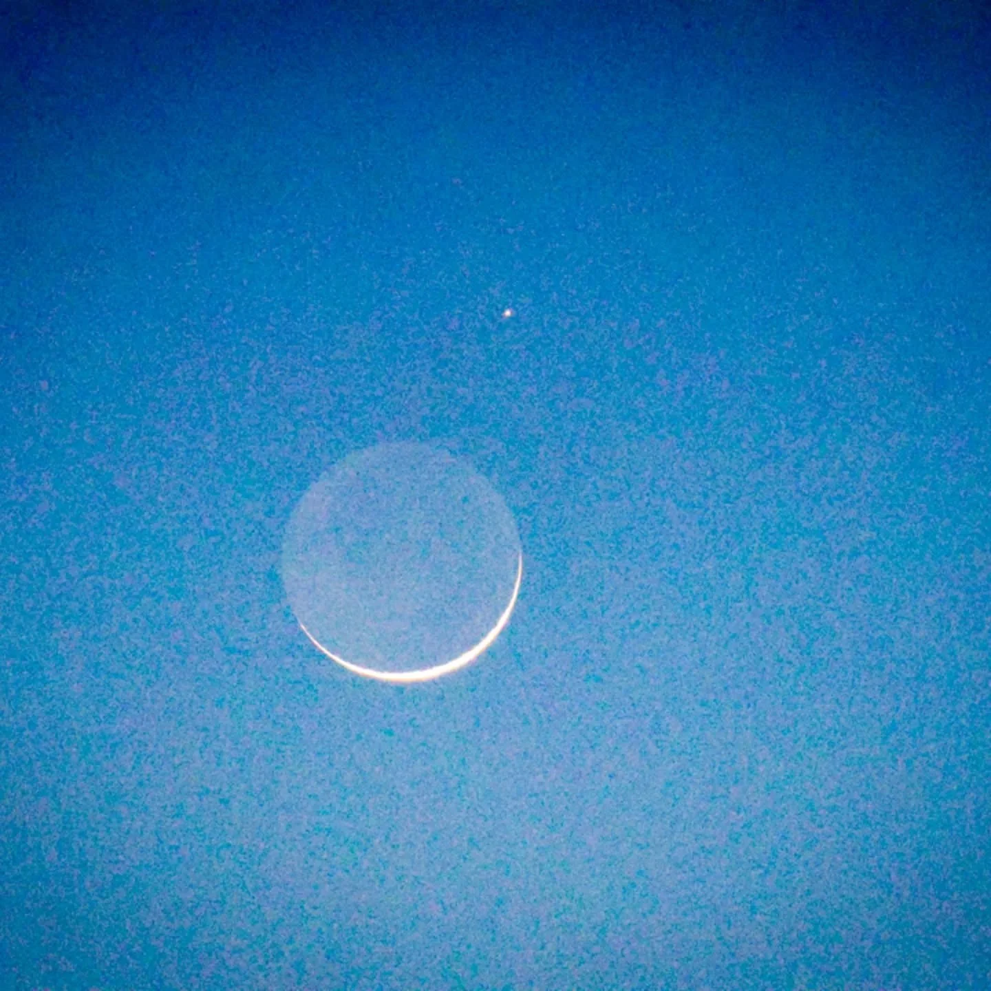 49. Overeager 

Canon R7 

400 mm f/5.6 1/100 sec. 16000 ISO

#365photochallenge
#moonphotography
#blueskies