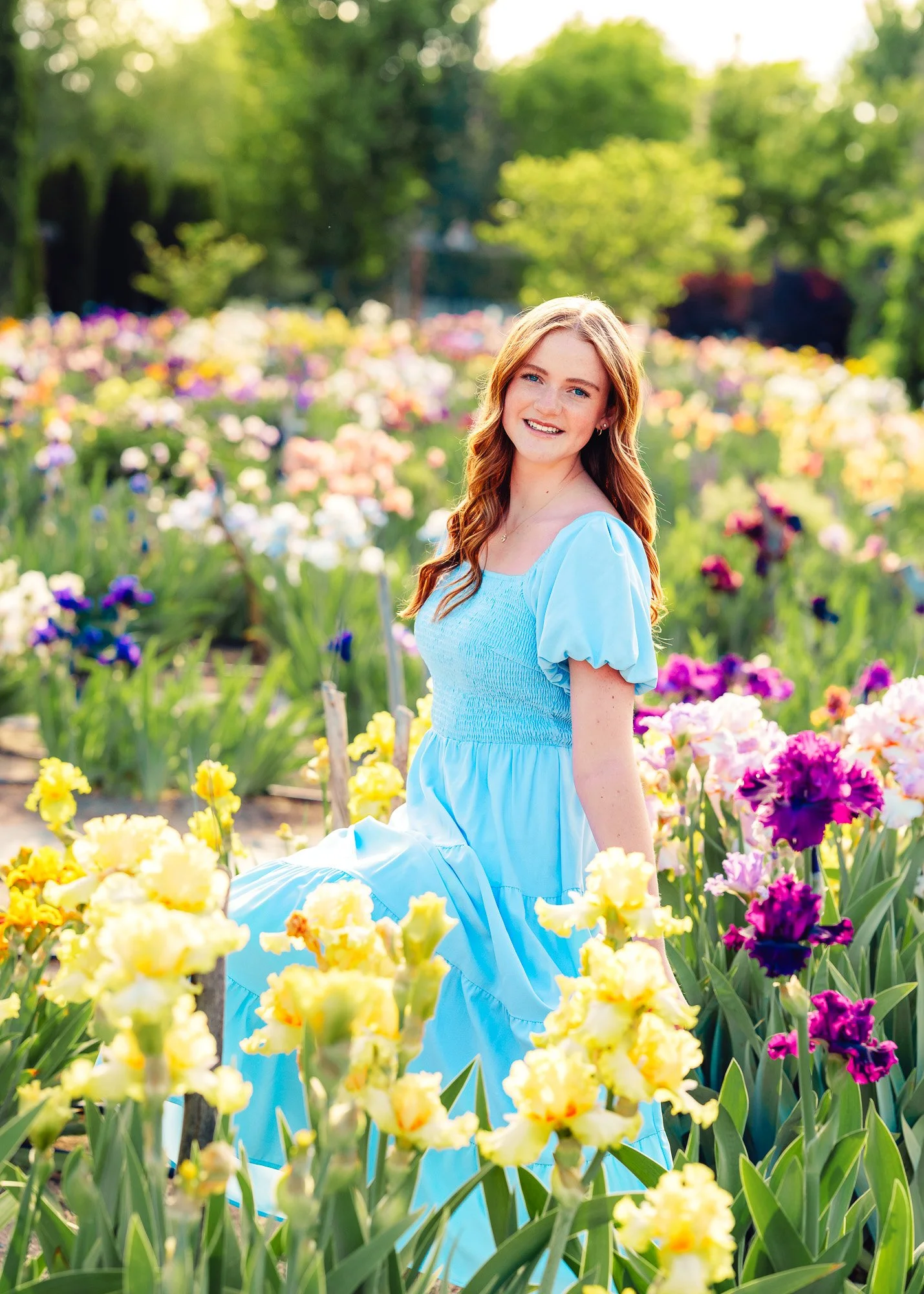 A young woman in a blue dress sitting among blooming yellow and purple irises in a garden, with trees and sunlight in the background.