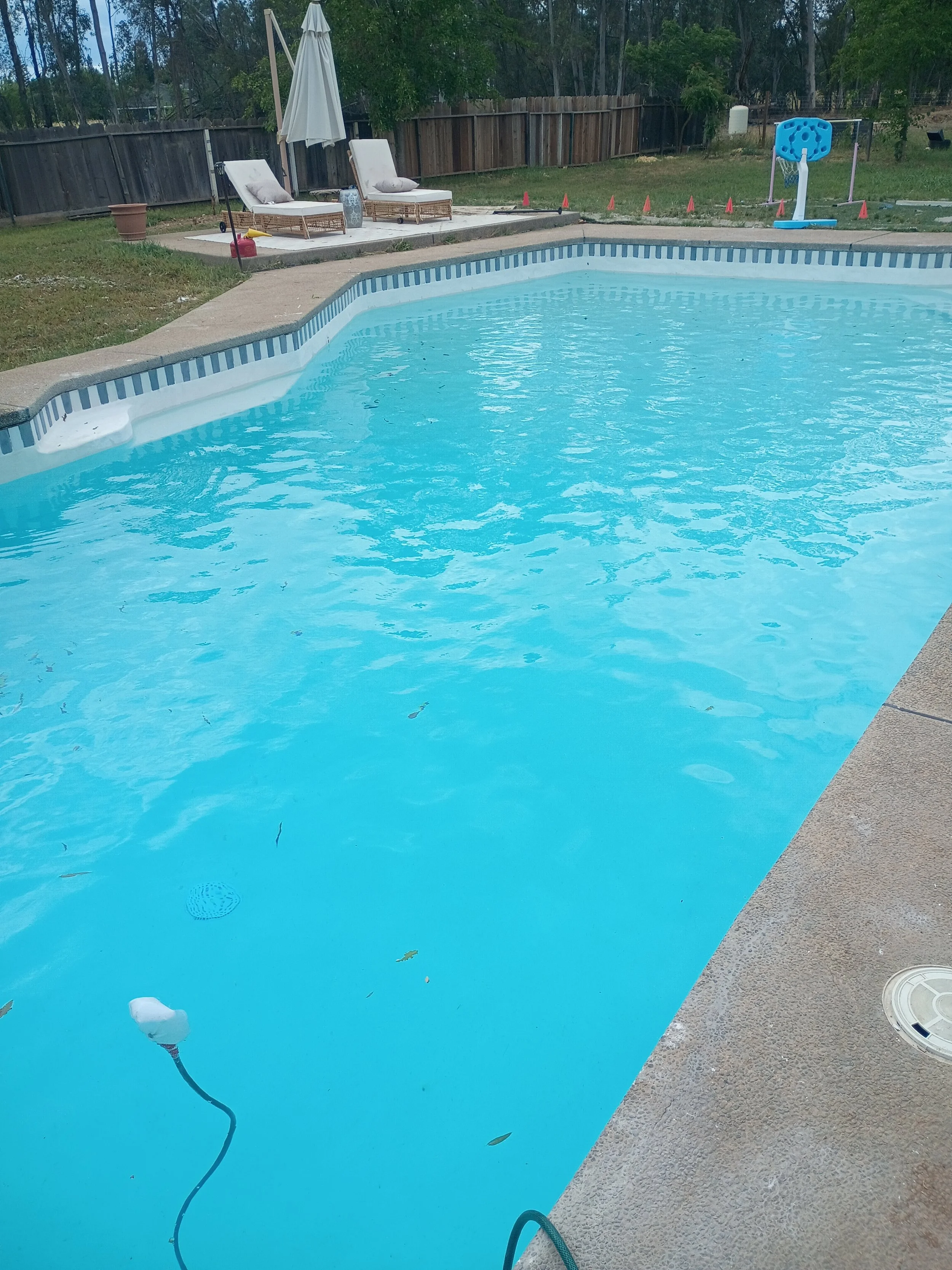 IMG_20260411_134902491.jpg