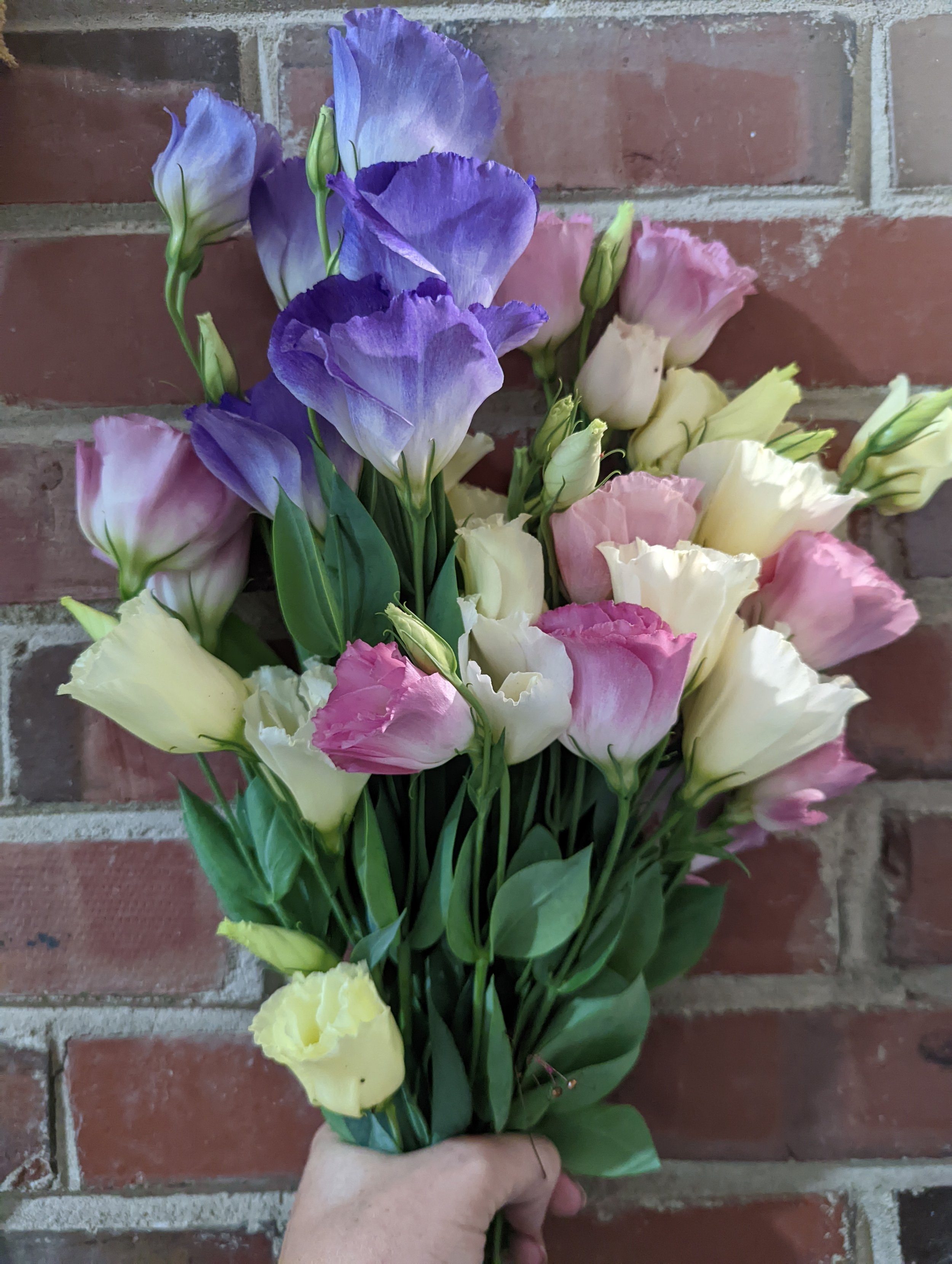 Assorted bouquet of purple, pink, and white lisianthus flowers held against a brick wall.