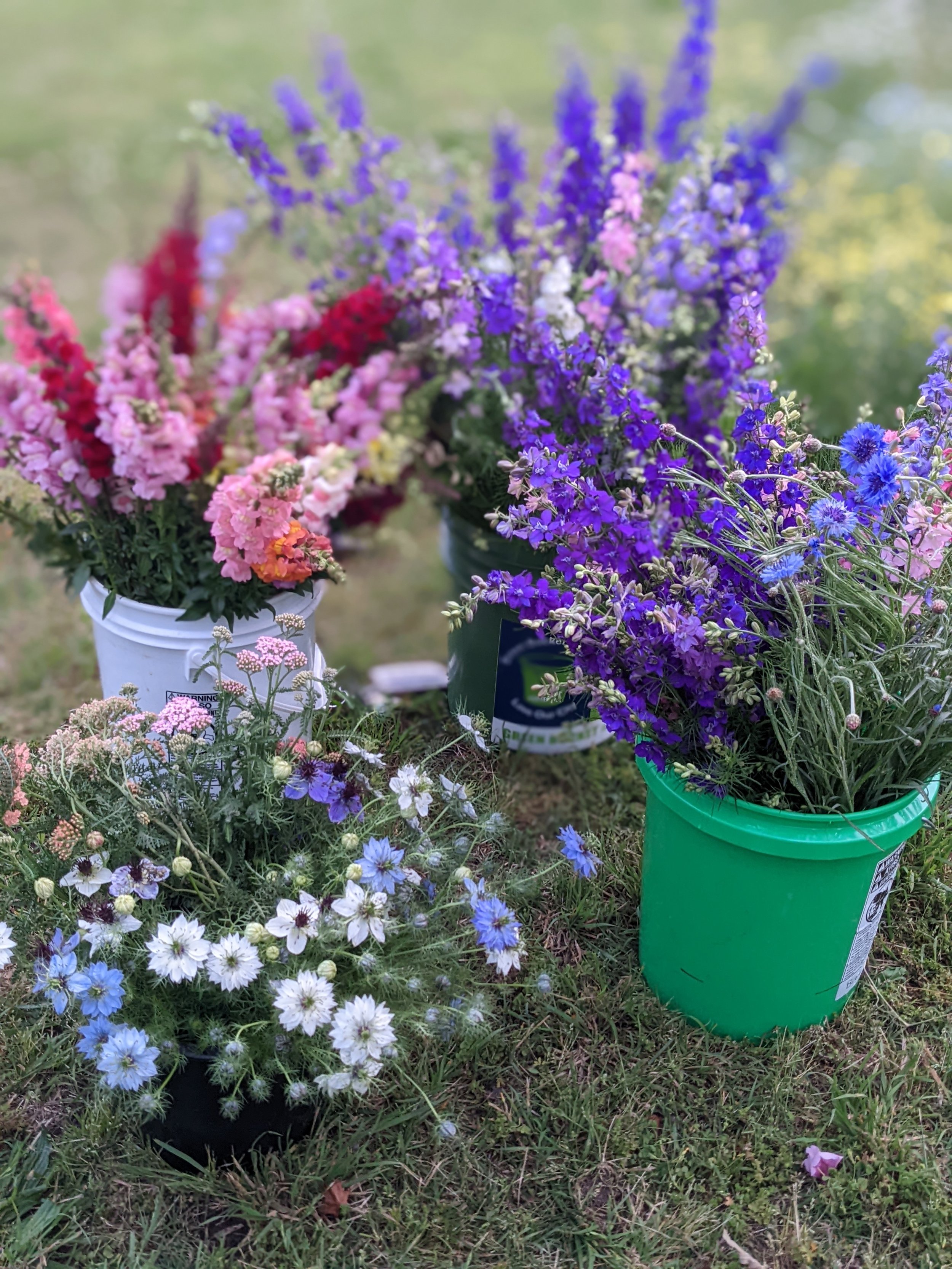 Colorful assorted flowers in buckets placed on grass