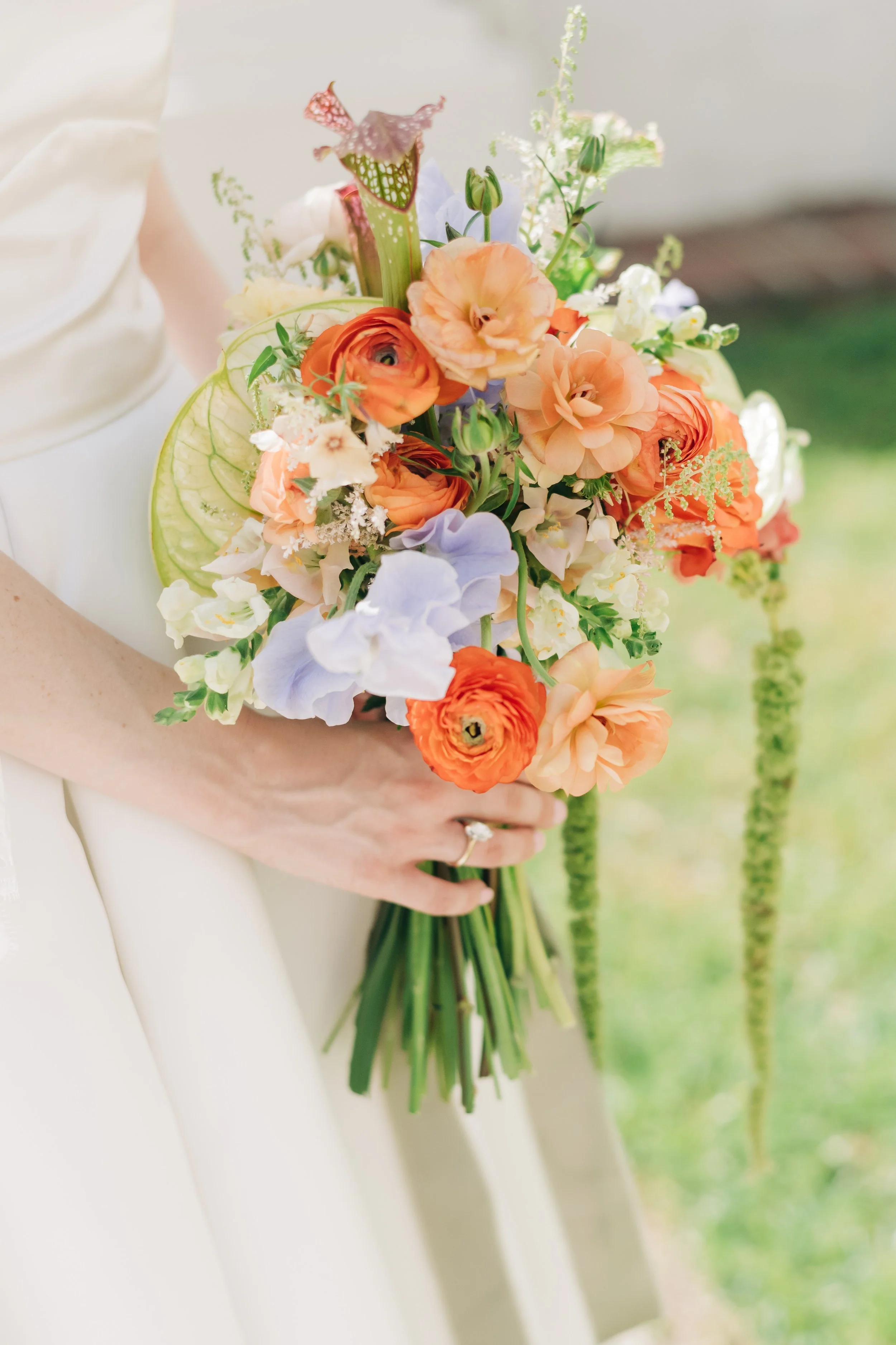 Bridal bouquet with pitcher plants, ranunculus, amaranth, and sweet peas