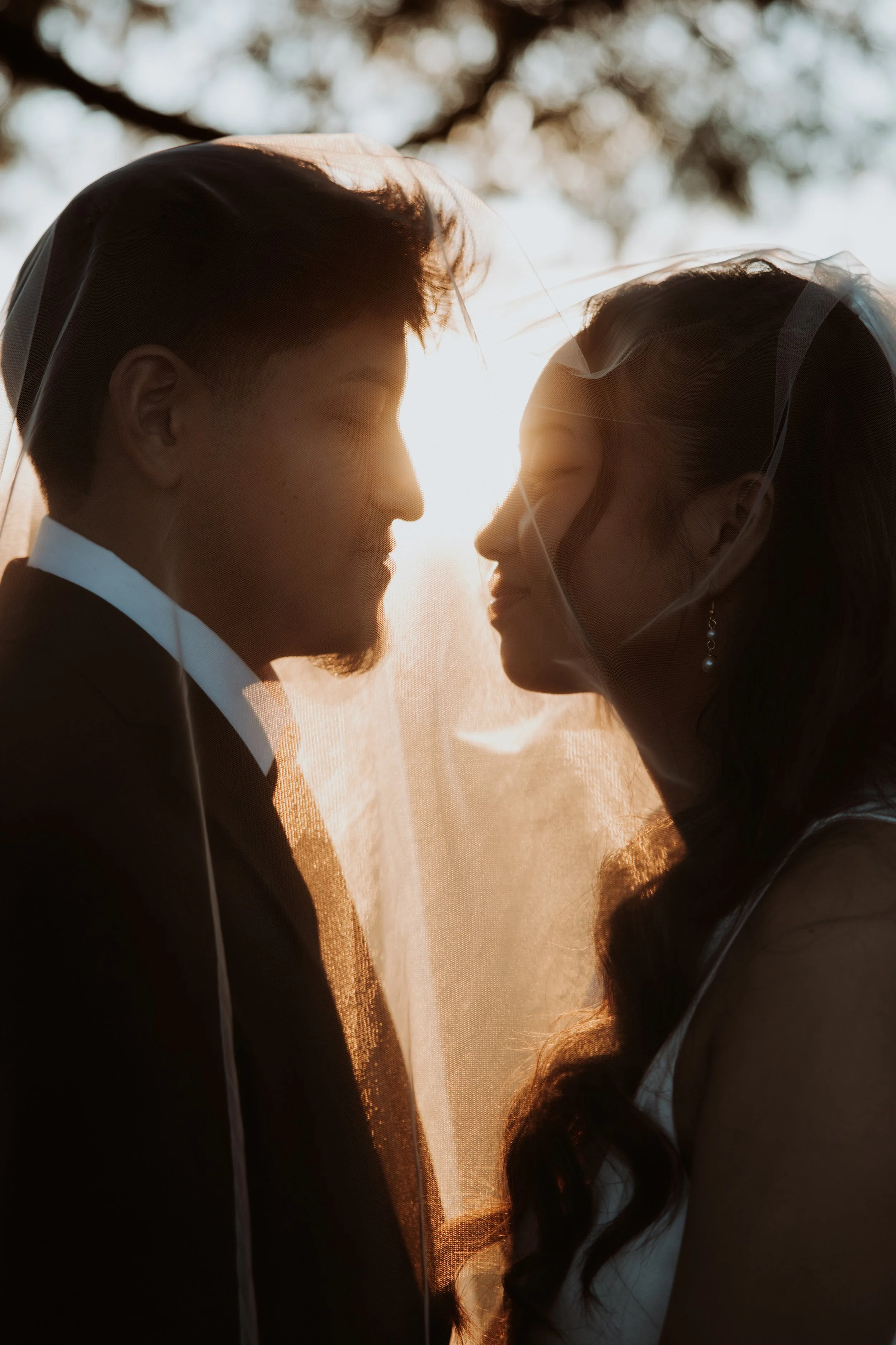A couple, dressed in wedding attire, face each other with their foreheads touching, illuminated by warm sunlight with a blurred background of trees.