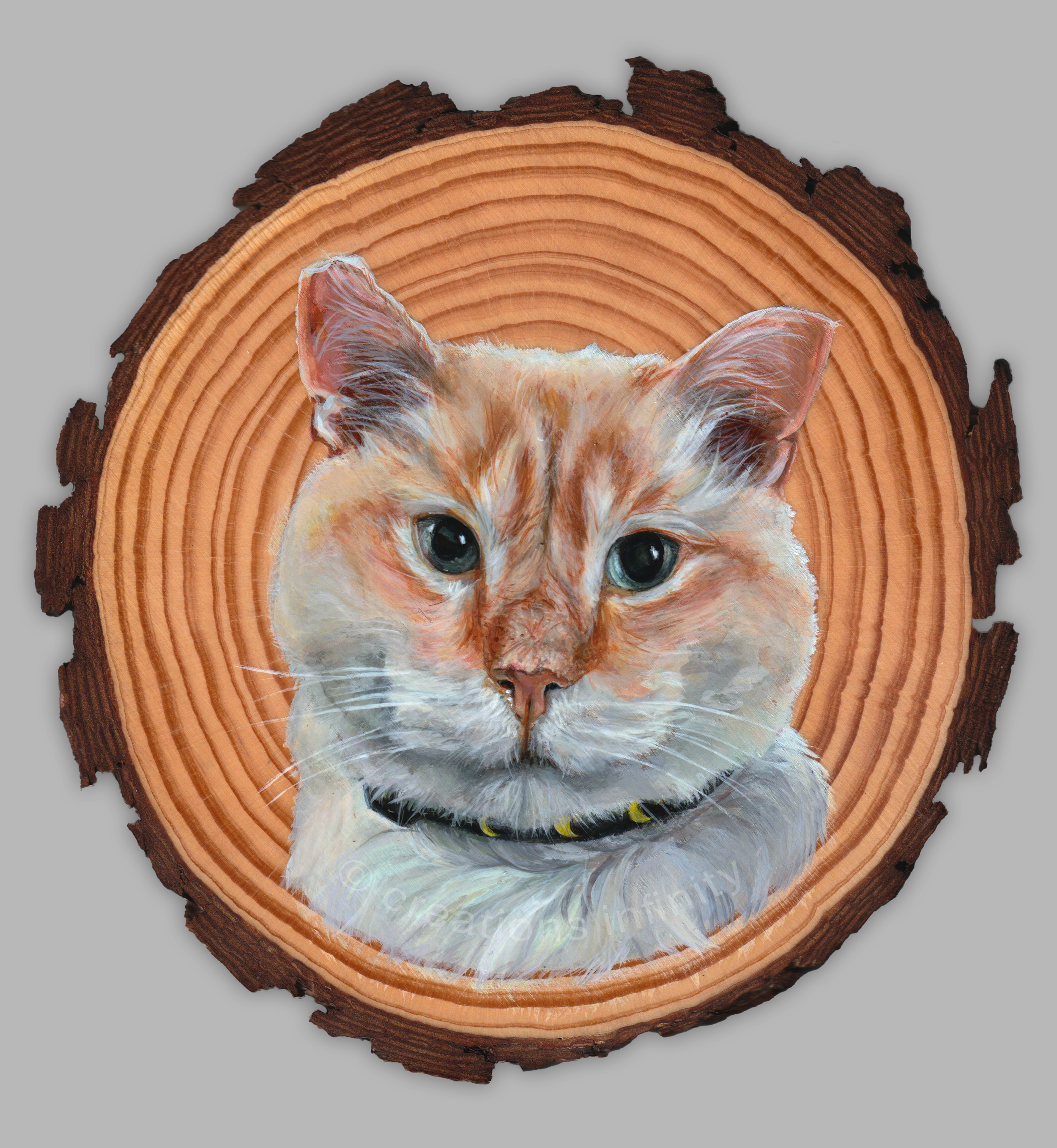 siamese.png