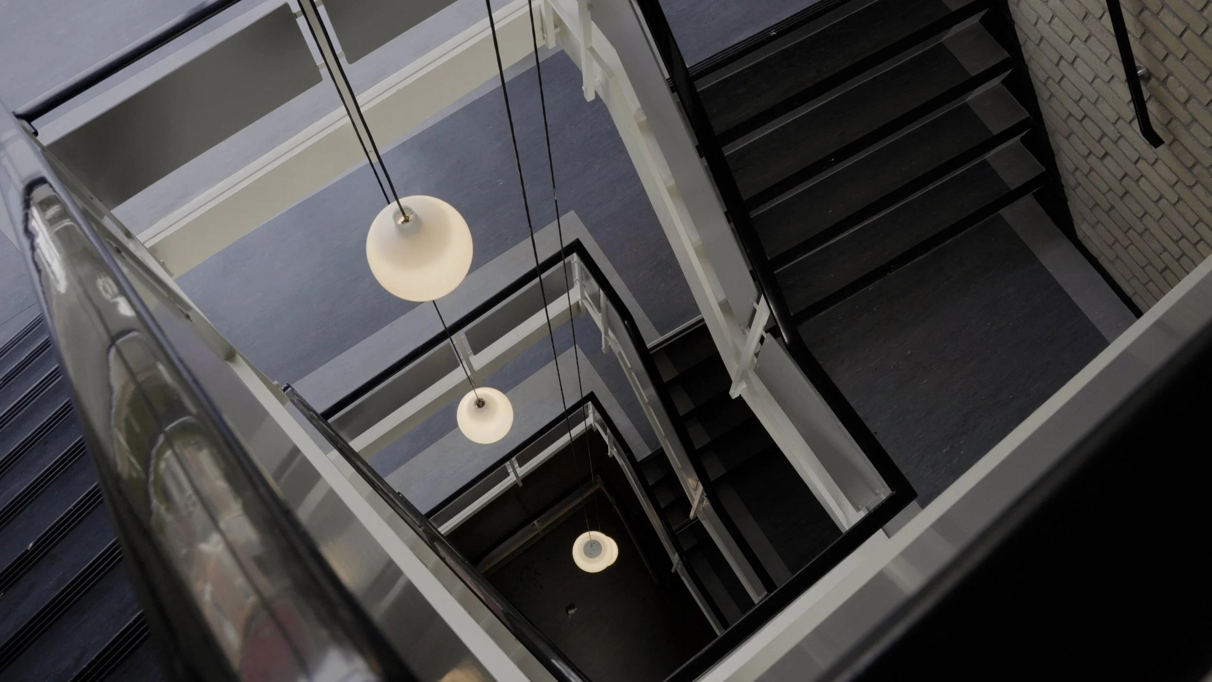 Paradijsvogels (2023)