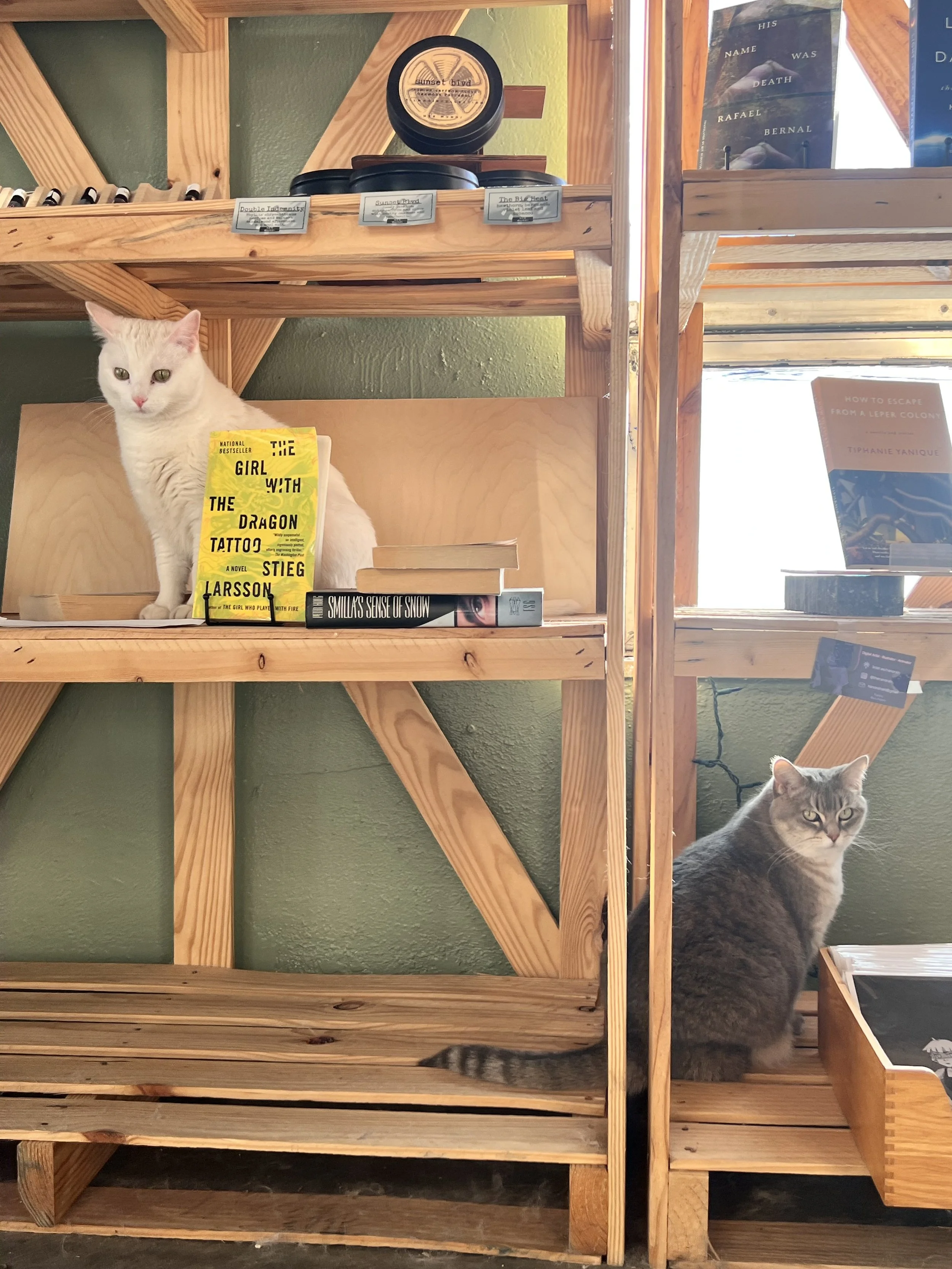 Anne and Ellie, our bookstore cats