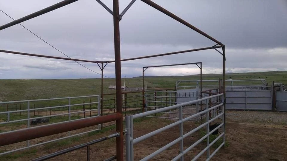 cattle handling area with continuous fence panels and top rail premium gates that always work and never sag.