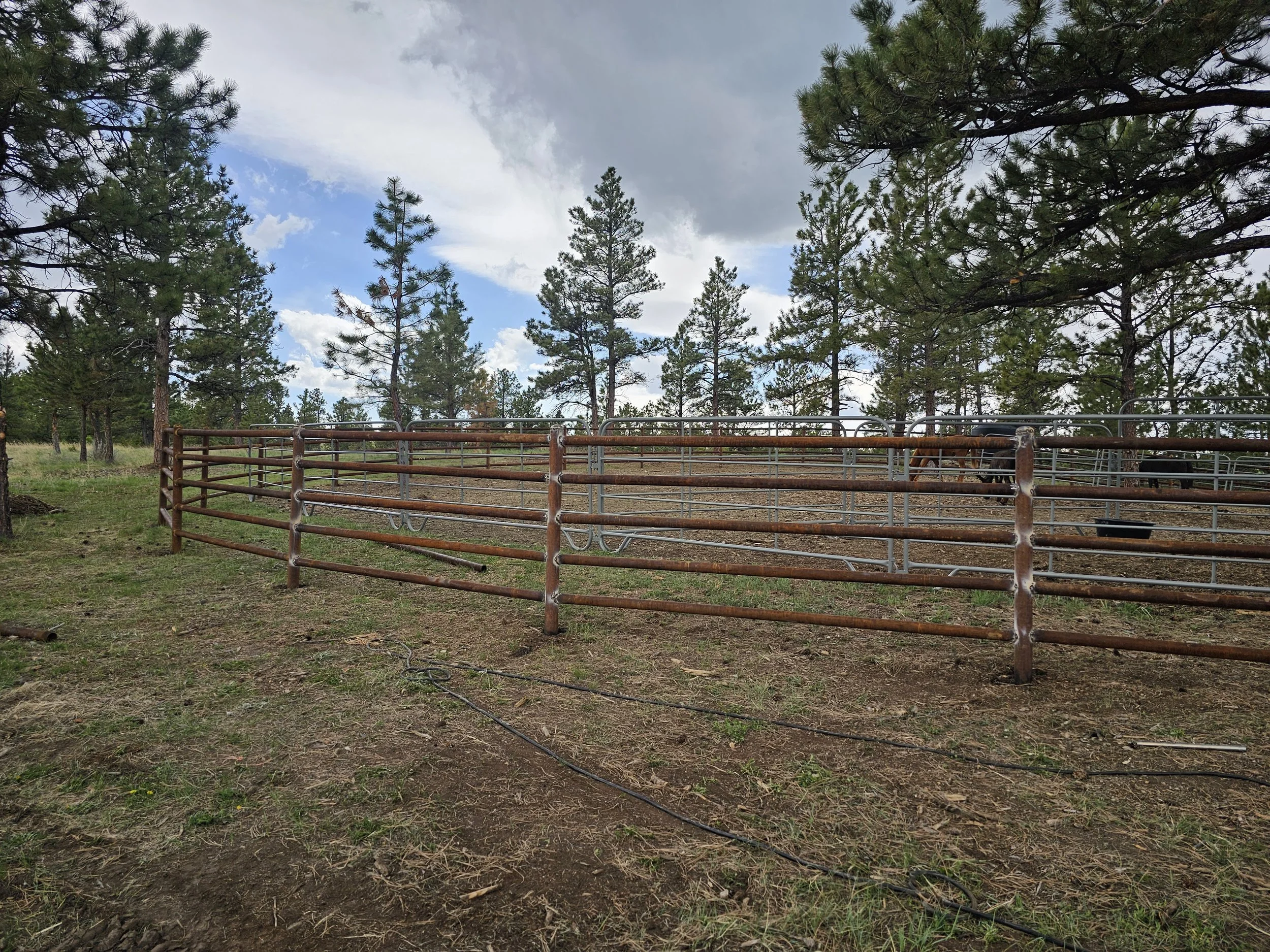 classic pipe corral fence 
