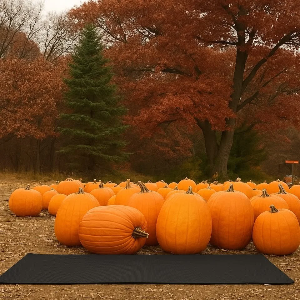 Pause @ the Patch-an Outdoor Yoga Experience
