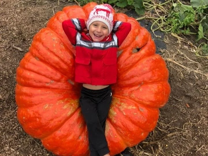 Carter Giant Pumpkin.JPG