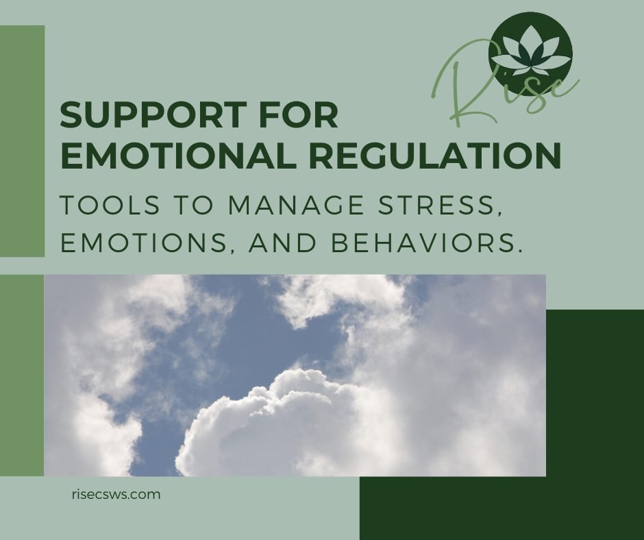 DBT-based interventions at RISE Counseling and Social Work Services focus on emotional regulation, distress tolerance, and healthy communication. These skills help clients respond to life&rsquo;s challenges with greater confidence and stability. Expl