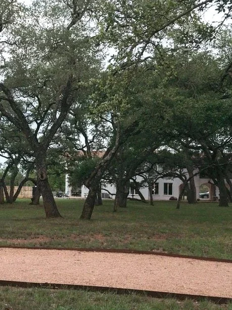 Ready to FALL in love? ✨🏞️

Book your private tour and step into a slice of Hill Country heaven!

Walk through our Oak Grove, peek inside dreamy event spaces, and see why everyone&rsquo;s raving 🗣️.

🎟️ Tap the link in bio to lock in your spot!

#