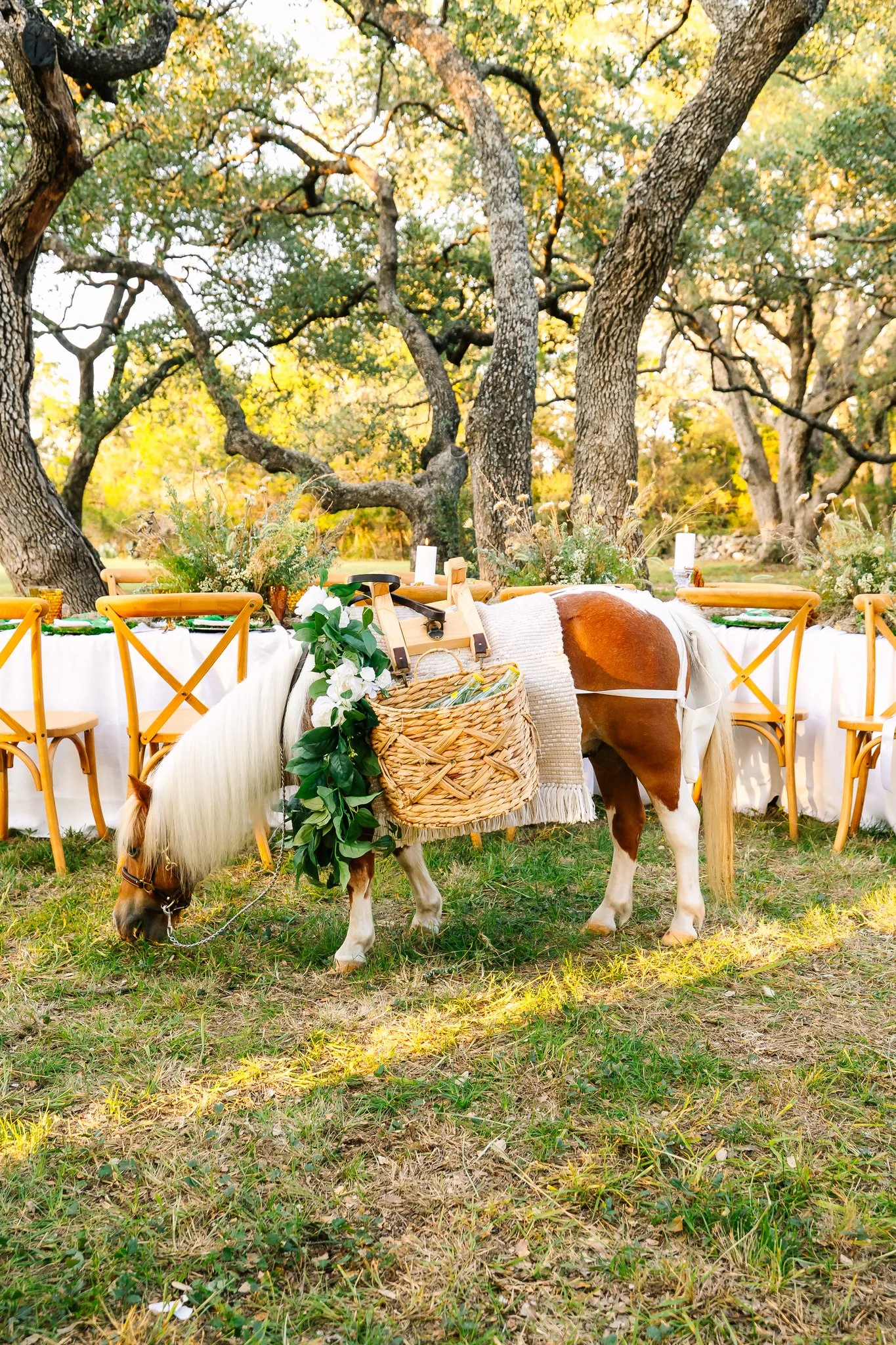 1836 Photographie 161_(2048).jpg