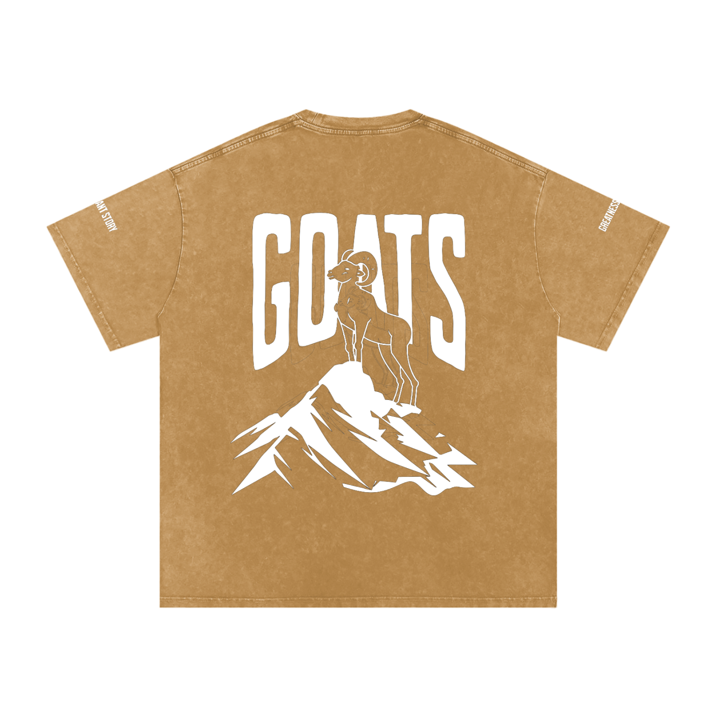 Snow Washed Oversized Cotton T-Shirt Sleeve Logo and Back Classic Logo