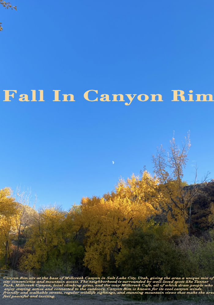 Screenshot 2025-11-22 at 7.58.31 PM.png