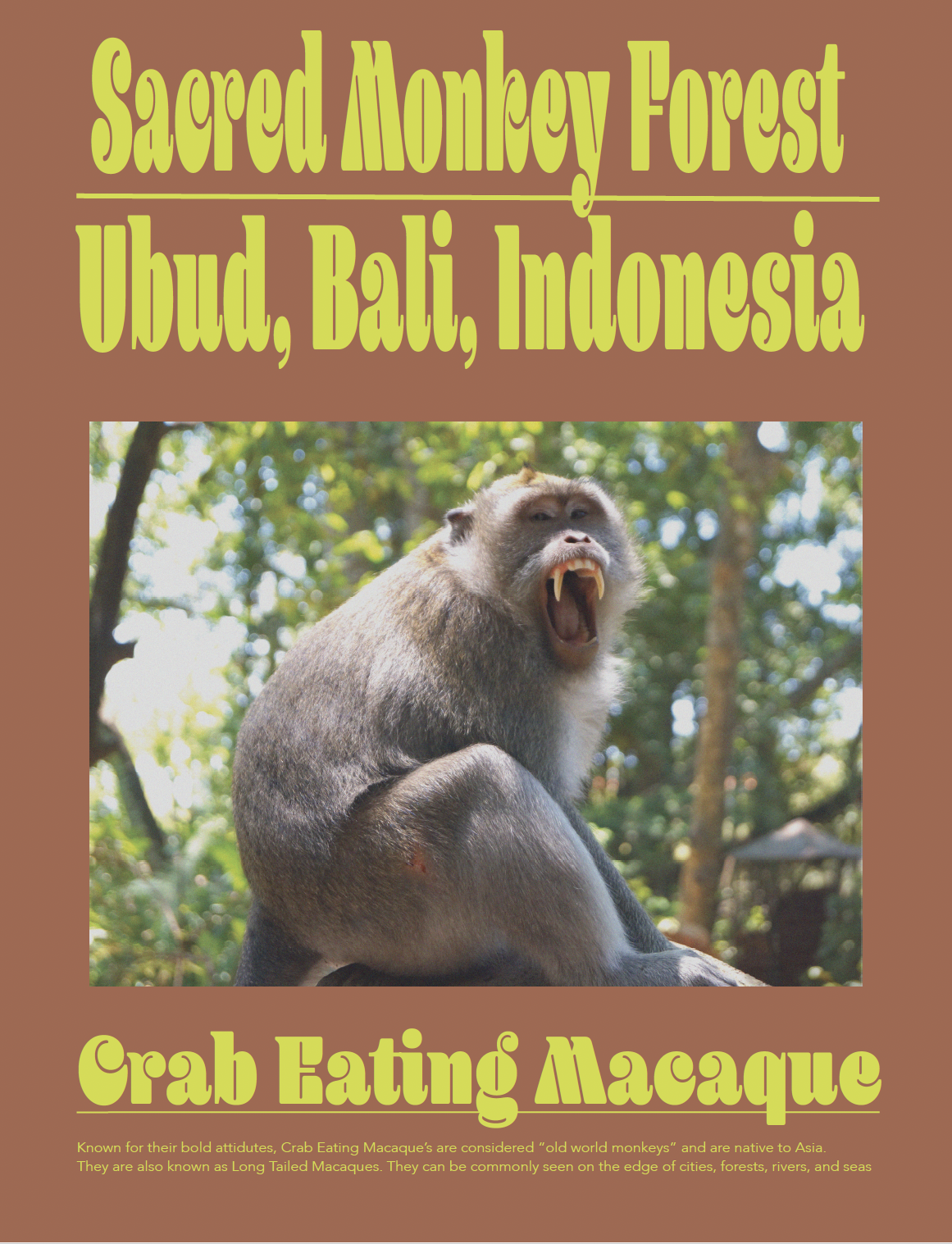 Screenshot 2026-01-07 at 11.34.38 AM.png