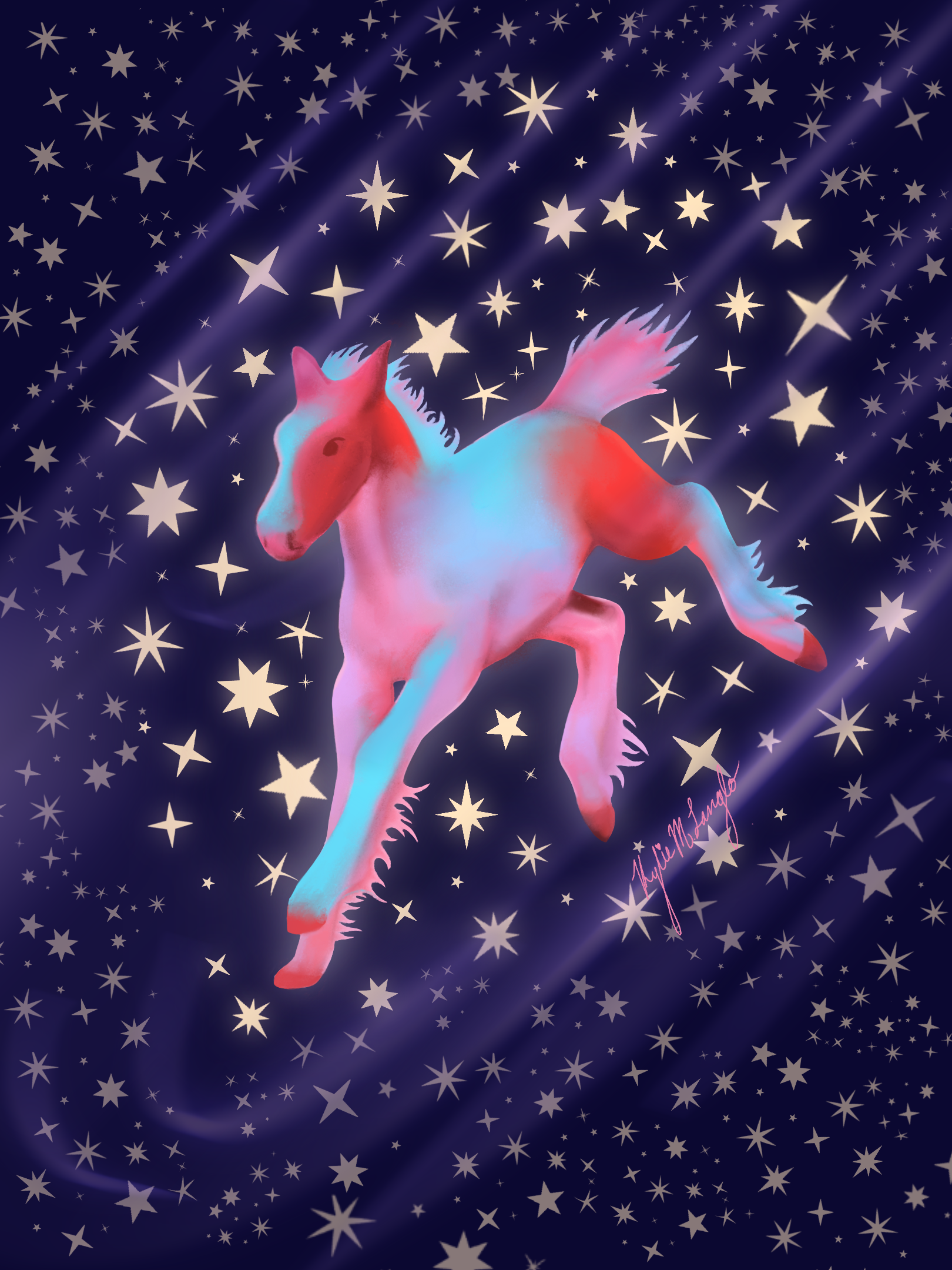 IMG_0964.png