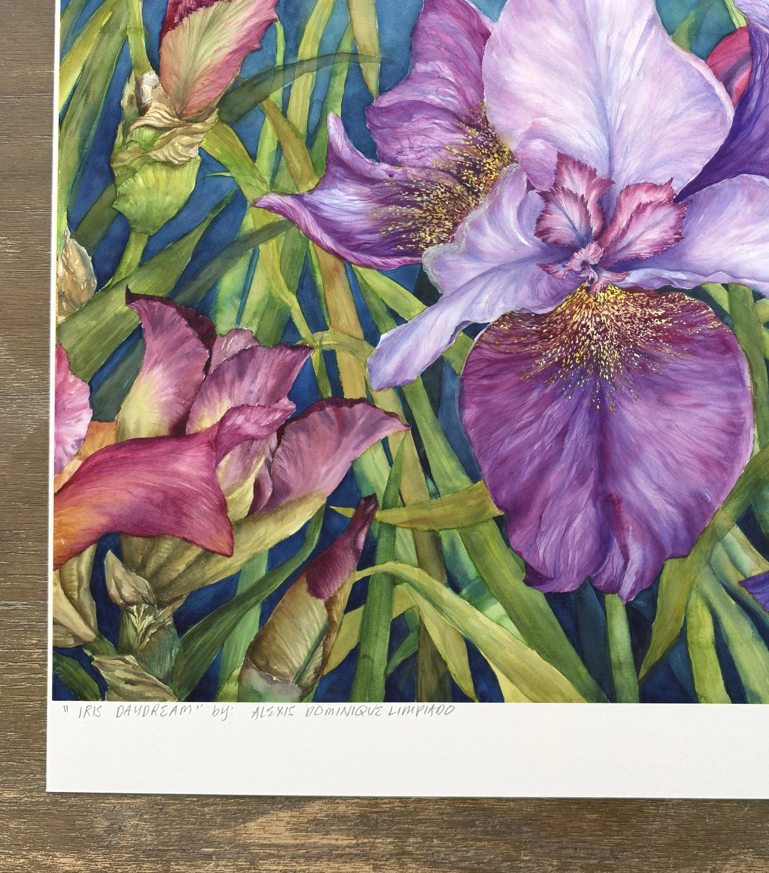 iris daydream 2.jpg