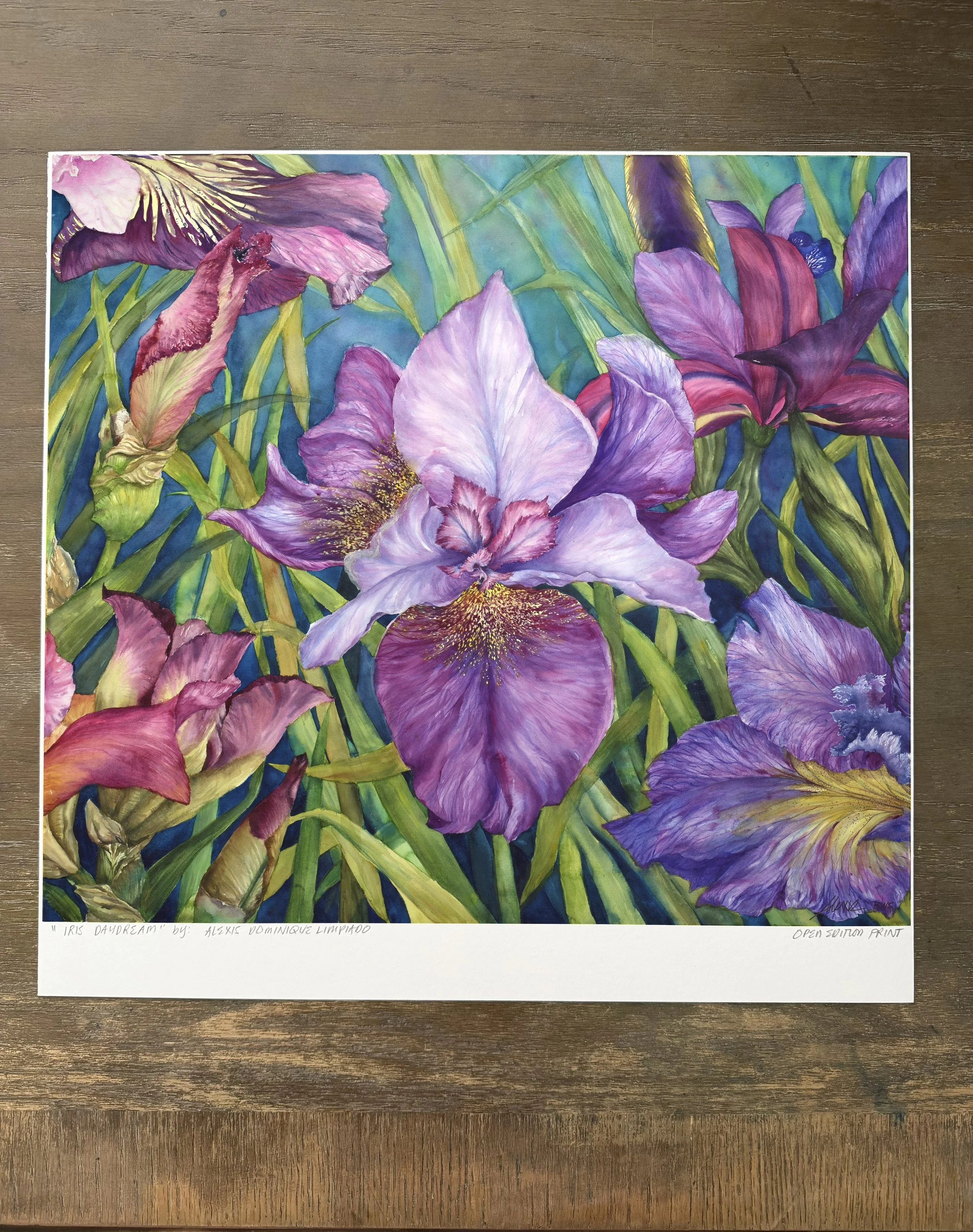Iris Daydream-Museum Quality Print